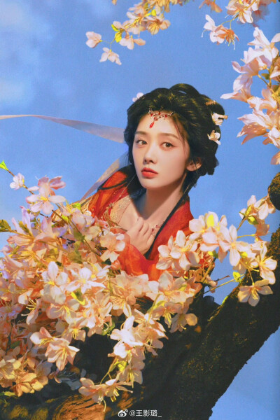 王影璐