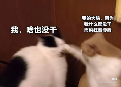 我是不会放弃收集这种图片的