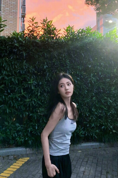 白鹿