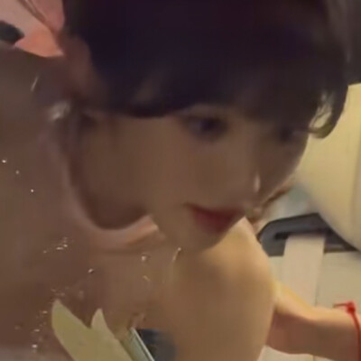 猫咪