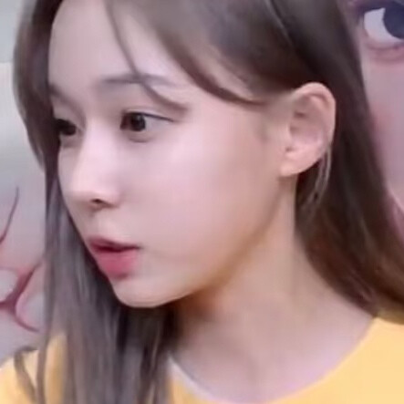 审狗积累