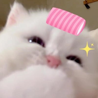 困在雨天的人 也会遇到心仪的伞(⑅•ᴗ•⑅)