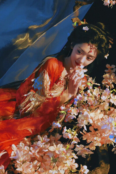 王影璐