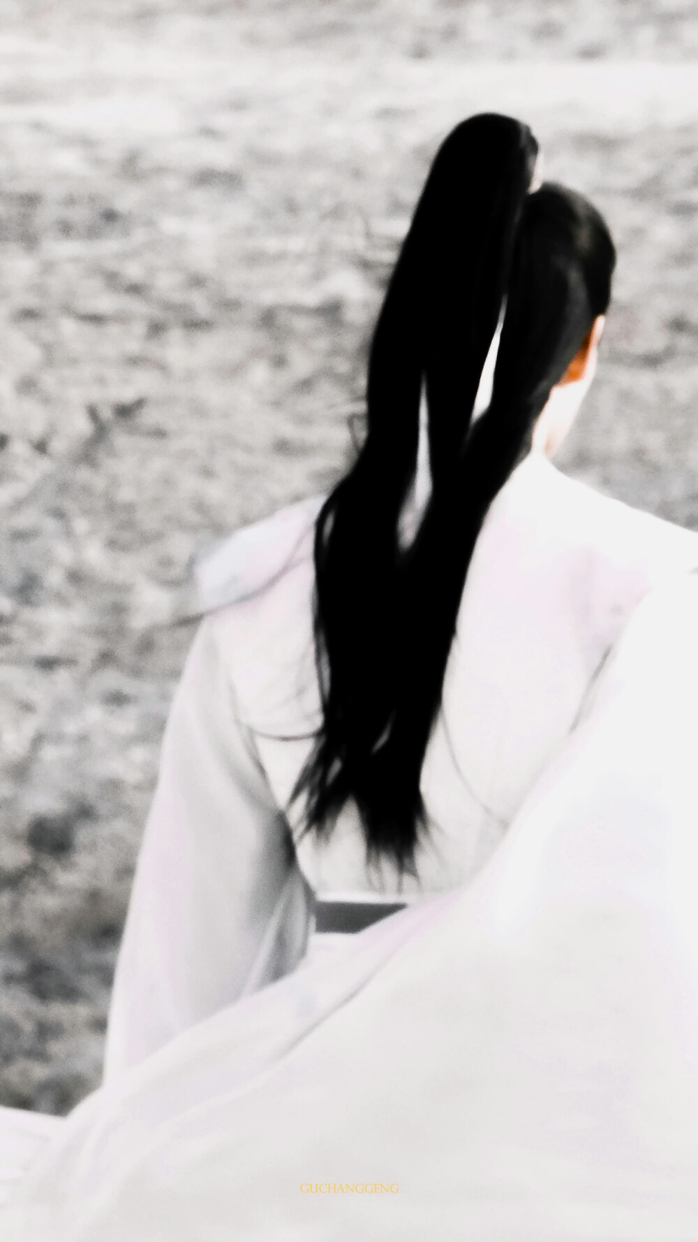 杨洋