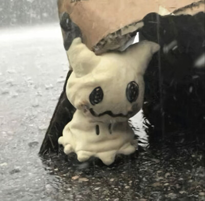 ¯꒳¯