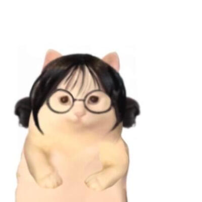 猫猫头像