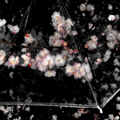 沈亓璇宝宝送滴小田