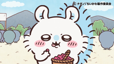 吉伊卡哇