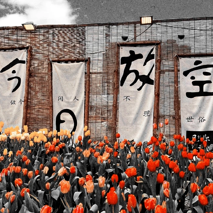 沈亓璇宝宝送滴小田