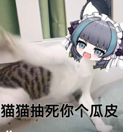 原谅我这一生放纵不羁笑点低