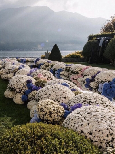 花海