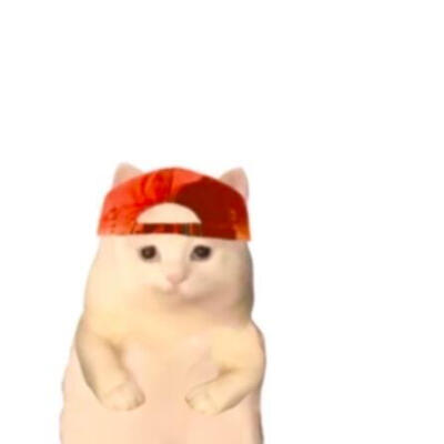 猫猫头像