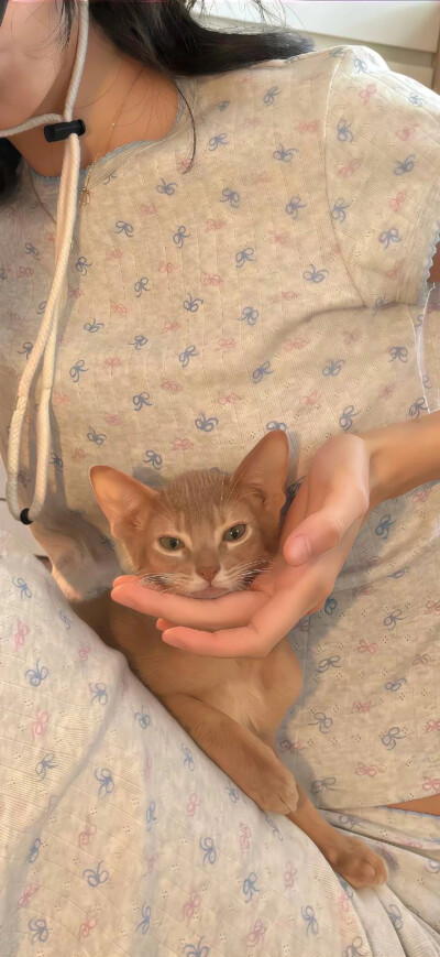 近期自用