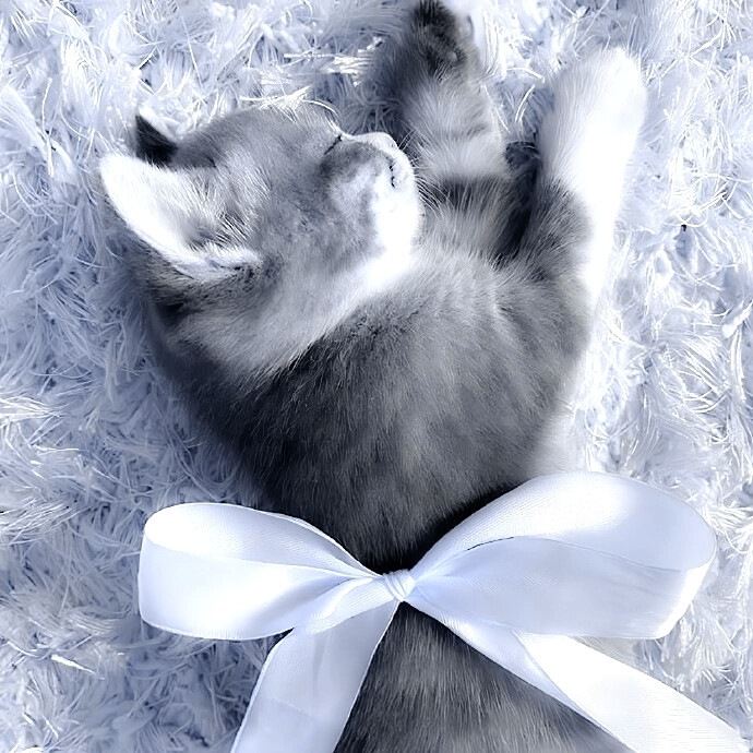 
時間♡が固まるThe heart is still racing～