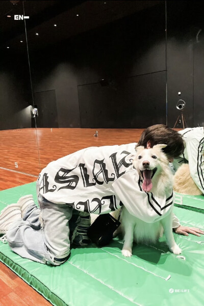 沈载伦