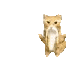 猫猫表情包