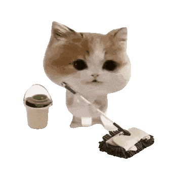 猫猫表情包