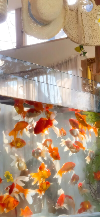 壁纸