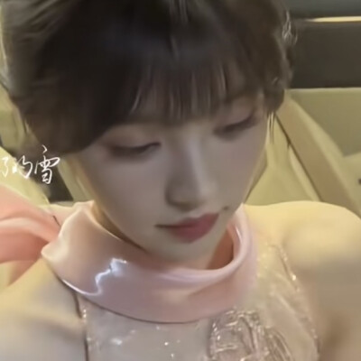 公主猫