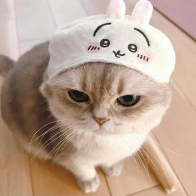 困在雨天的人 也会遇到心仪的伞(⑅•ᴗ•⑅)