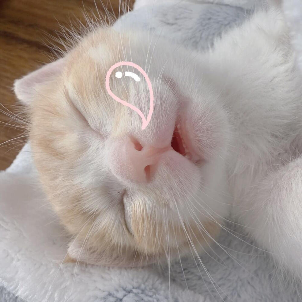 困在雨天的人 也会遇到心仪的伞(⑅•ᴗ•⑅)