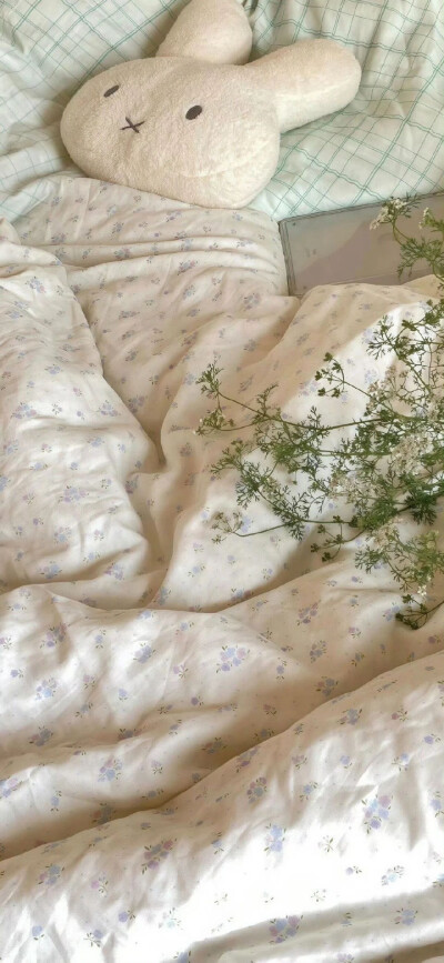 近期自用