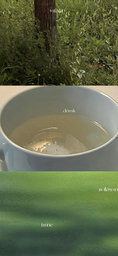 壁纸