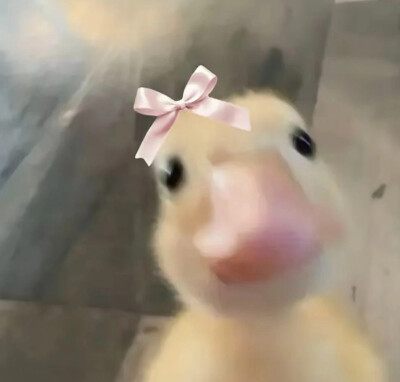 天
