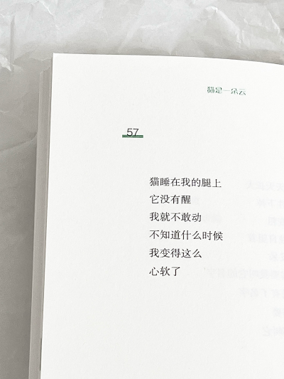 文字