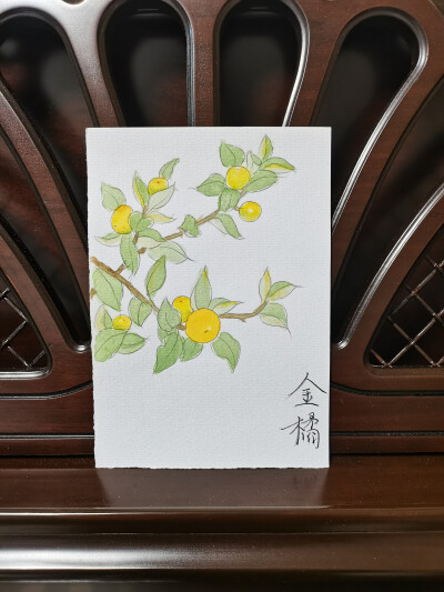 46 金橘（绘画 | 水彩 | 果花甘04）
2018.6.14
画金橘，感觉到了就行。
一树淡然雅致的叶子，藤黄色的圆球点缀其间，有些生机勃勃。
相比其他柑橘类水果，金橘的个头很小，像童年回忆中常见的的弹力球那么大，形状…