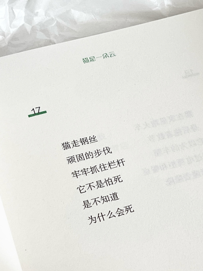 文字