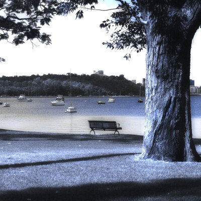 
1989年的蝉鸣^玻璃弹珠滚过地板、Lime soda