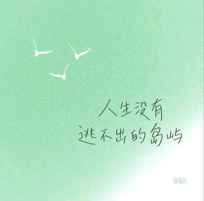 三叶草☘️的寓意是幸福