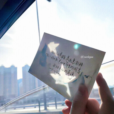 见信好 我们会在春天相见的