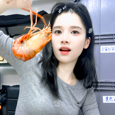 张婧仪