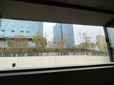 下着雨的乌市
