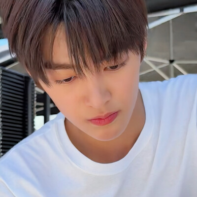 花仙使者夏安安