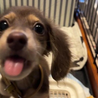 天