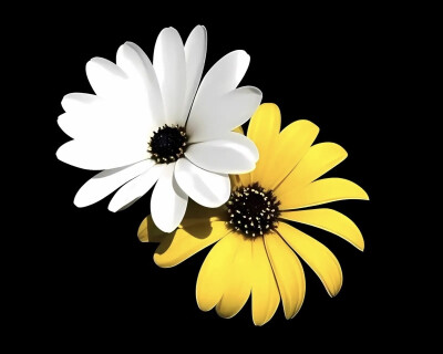 花