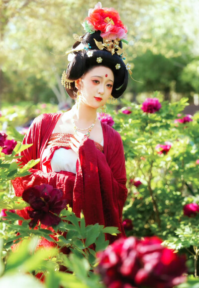 赵楚