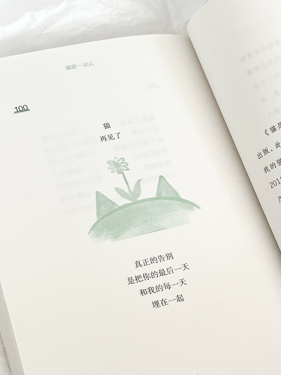 文字