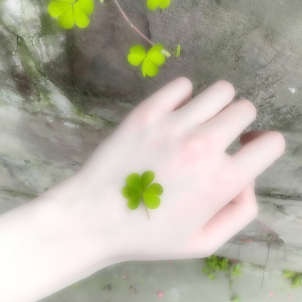 背景图