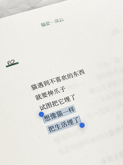 文字