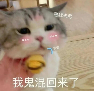 表情包