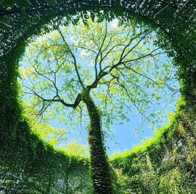 树的背景图 绿色系背景图