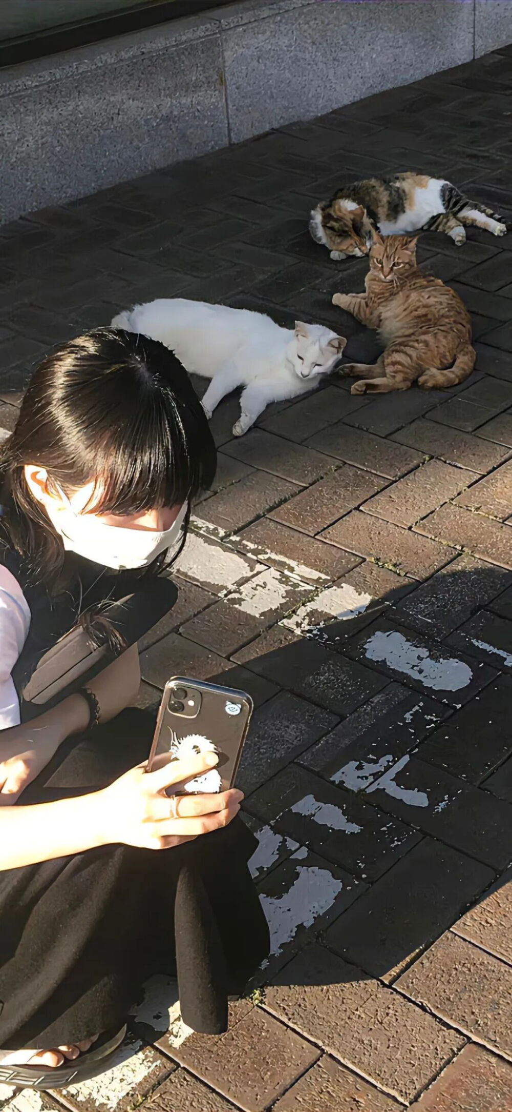 壁纸