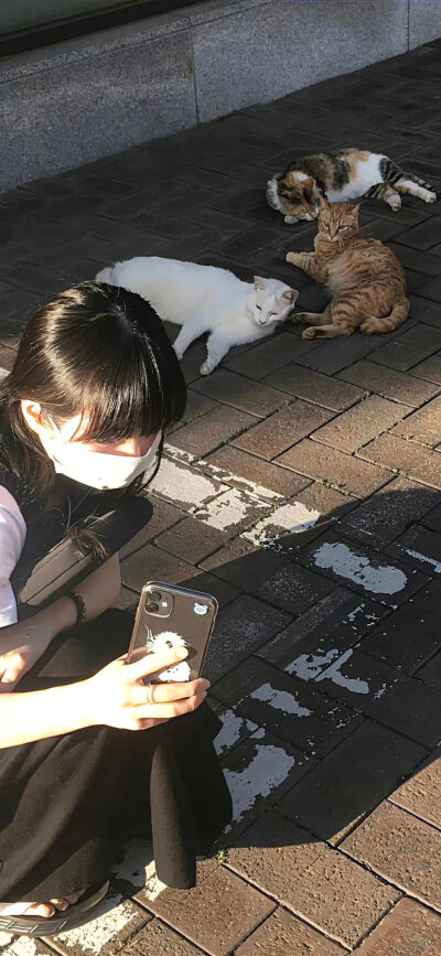 壁纸