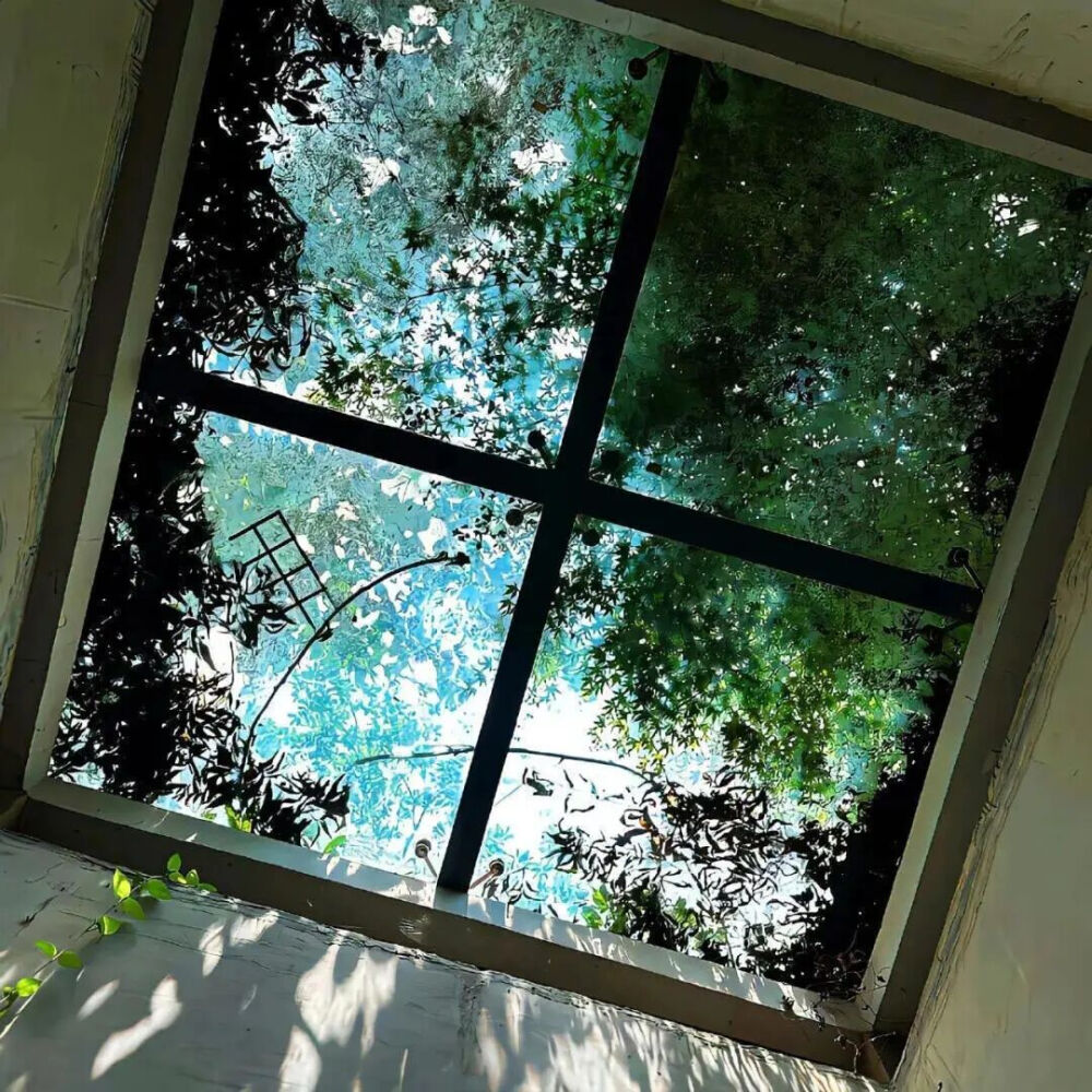 背景图