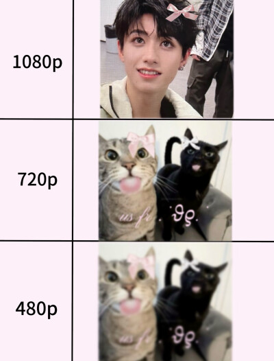咪