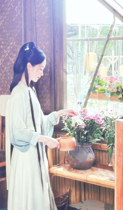 宋轶